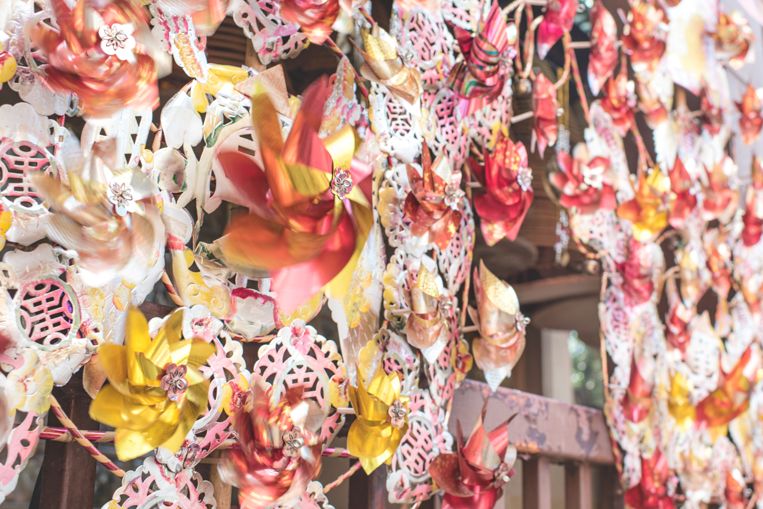 hong kong pinwheels